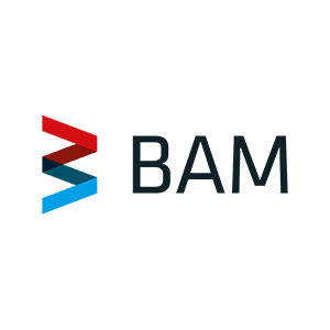 BAM Institute