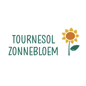 Tournesol Zonnebloem
